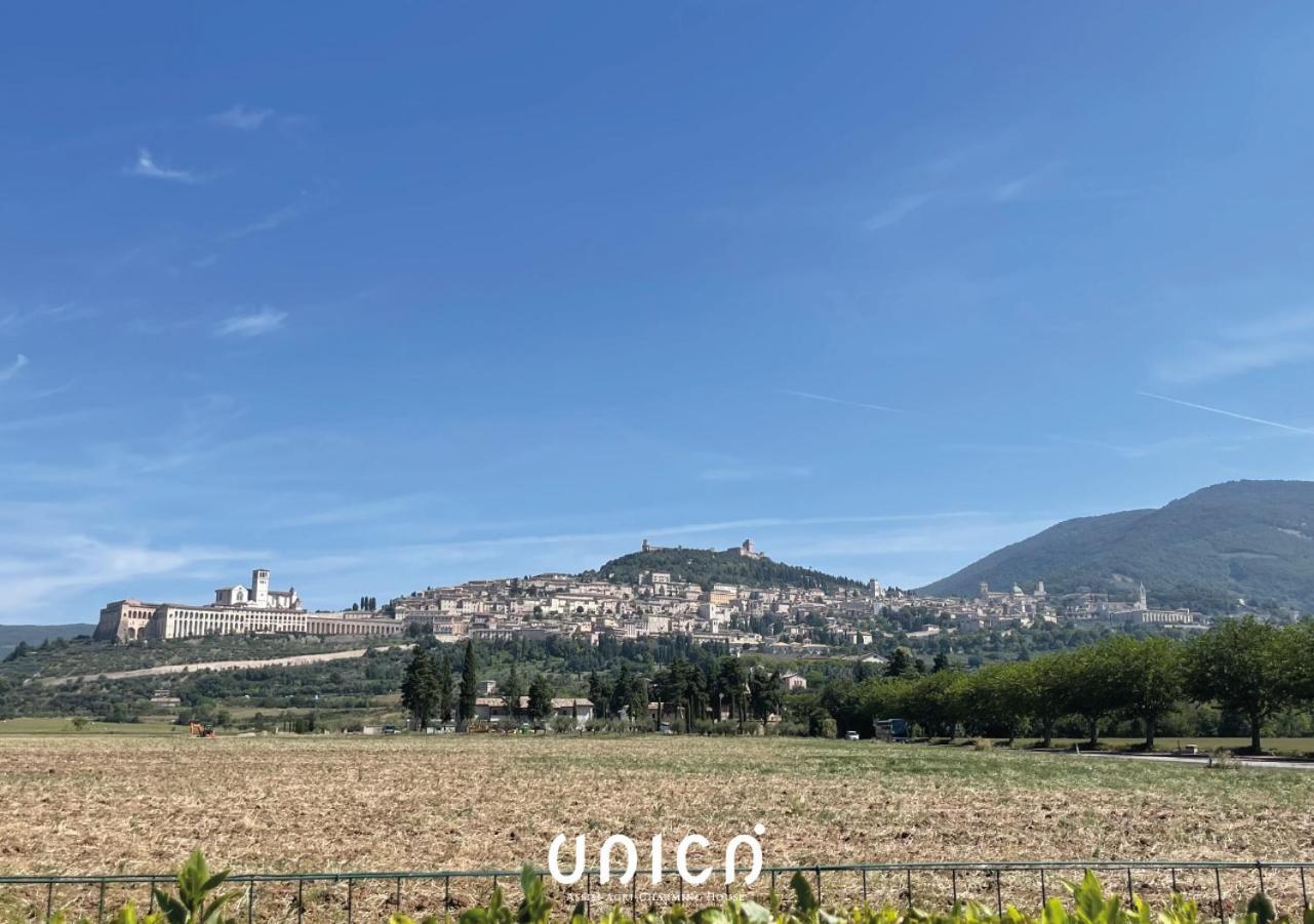 Unica Assisi Agri-Charming House住宿加早餐旅馆 外观 照片